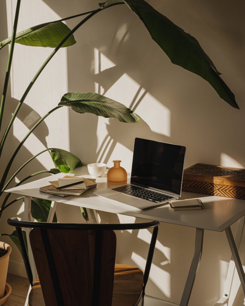Formation marketing et intelligence artificielle Bonjoore : bureau baigné de lumière avec un ordinateur portable et des plantes